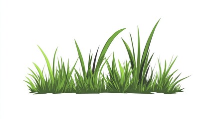 Obraz premium Flat design graphic of green grass isolated on a white background featuring a side view template of grass bushes