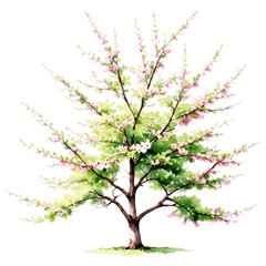 Naklejka premium Blossoming cherry tree on a black background a vibrant symbol of nature's beauty and renewal in springtime