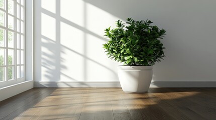 Fototapeta premium 3D rendering of a living room featuring white walls and hardwood flooring highlighted by a large green plant at the center