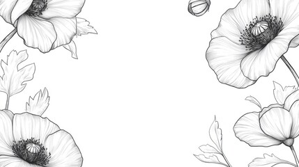Floral Frames in Line Art Style Hand Drawn Poppy Illustrations with Outlined Leaves and Flowers