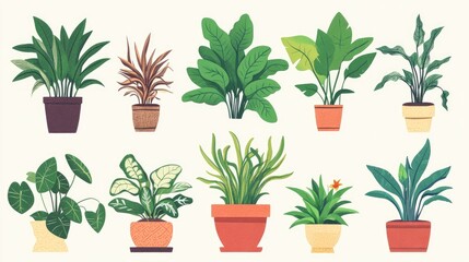 Flat illustration of interior and decorative plants