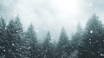 In the heart of winter, tall pine trees stand clothed in white, while soft snowflakes drift from a grey sky, creating a serene ambiance illuminated by gentle light filtering through the clouds.