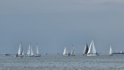 Fototapeta premium sailing ships many in thermaikos gulf salonica greece