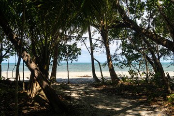 Strand in Queensland, Ost-Australien
