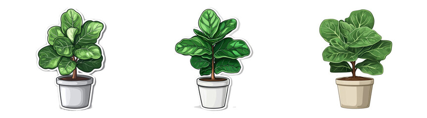 Fototapeta premium Green leafy plants isolated on transparent PNG background ideal for home decor illustrations or nature-themed designs