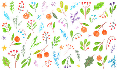 Big collection of different colorful Christmas branches, leaves, plants and berries. Doodle drawing by hand with colored pencils. Cute children's drawings with crayon. New Year.