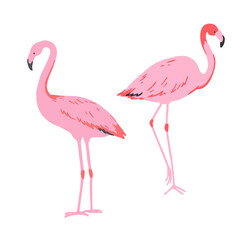 Set of pink flamingo in minimalistic style. Vector illustration.