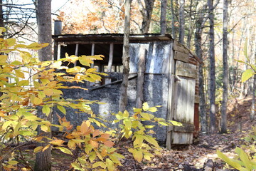 Fototapeta premium An old hut in wood in the forest. A shelter in the forest. Hunting in the wood with an abandoned hut in autumn.