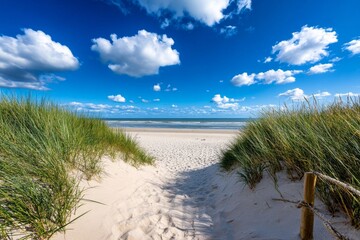 The dunes of Meijendel, with sandy paths winding through tall grass and the North Sea visible in the distance