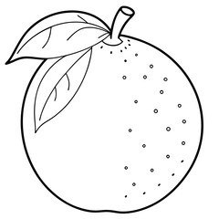 Line art of a citrus fruit vector
