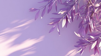 A serene composition of purple leaves casting shadows on a soft background.