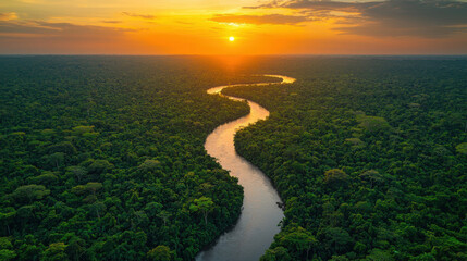 Aerial View of a River Winding Through the Amazon Rainforest at 