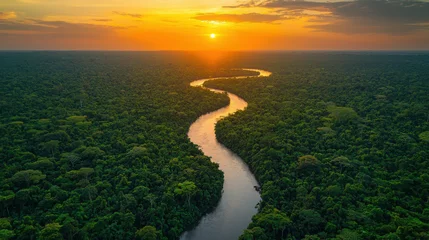 Aerial View of a River Winding Through the Amazon Rainforest at 