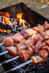 Barbecue skewers meat kebabs on a flaming grill