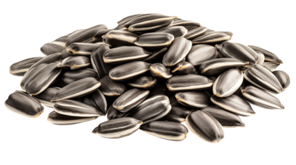 High-Quality PNG sunflower seed; isolated on white background; full depth of field – High Resolution