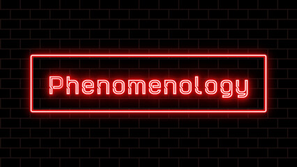 Phenomenology のネオン文字