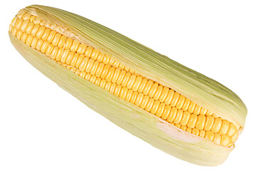 Sweet corn isolated on white or transparent background