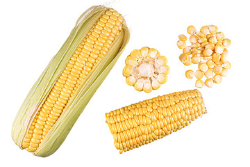 Sweet corn isolated on white or transparent background