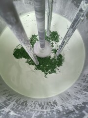 Homogenizer Mixer Machine mix process add chemicals					
