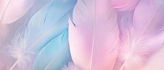 Soft pastel feathers in pink and blue hues create a dreamy and tranquil background suitable for various design projects.