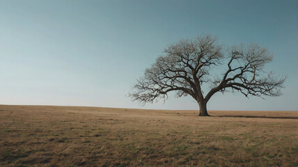 Fototapeta premium A solitary tree stands resilient against a vast, golden field, symbolizing strength and perseverance in the face of adversity.
