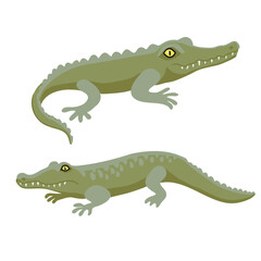vector drawing animals, spectacled caiman isolated at white background