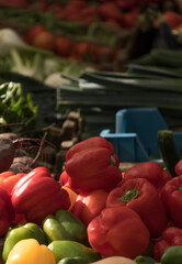 Piles of red and yellow at Saturday market at Noordermarkt