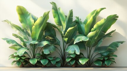 Lush tropical plants arranged against a light wall.