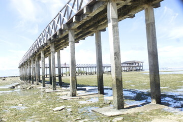 bridge over the river