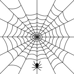 Obraz premium Intricate Spider web silhouette with hanging Spiders