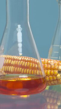 Biofuel with Plants industry lab researching for bio-aviation fuel (BAF) to be a sustainable aviation fuel (SAF)