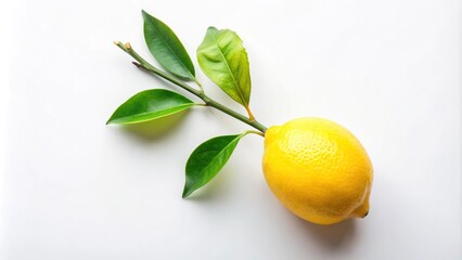 High angle view of lemon branch with ripe fruit on white background