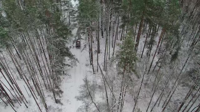 Aerial view of a car driving through a snowy forest road surrounded by tall trees in winter. Captures the peaceful, serene atmosphere of a winter wilderness adventure