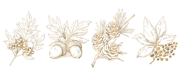 木の実と枝葉の線画イラストのセット　秋から冬の植物　金色のベクター素材