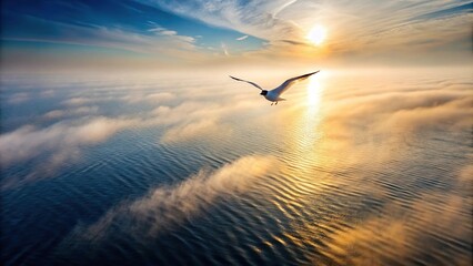 Obraz premium High angle view of sea ripple water with morning fog and flying seagull