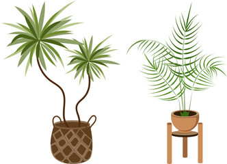 Indoor Potted Plants Illustration for Decor