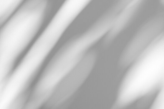 Wall interior background, studio and backdrops show products.with shadow from window color white and grey. background for text insertion and presentation product