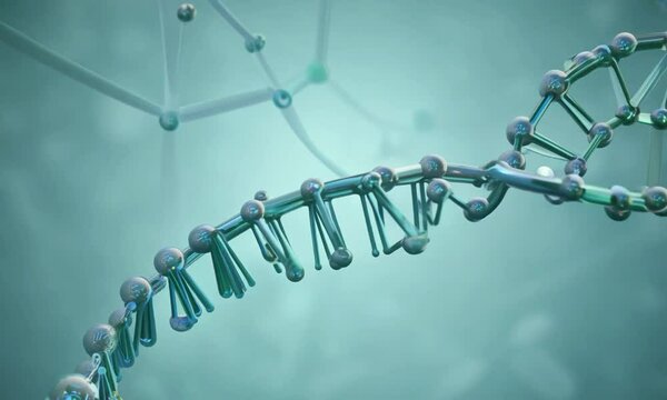 Zoom shot with DNA-protein complex formation: The camera starts with a view of a DNA-protein complex forming. The camera zooms in to show the detailed interaction between DNA and proteins, including b