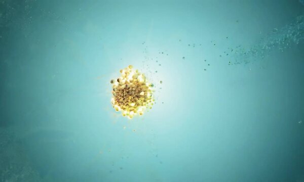Zoom shot with micro-particle reactions in a catalytic process: The camera starts with a view of micro-particles involved in a catalytic process. The camera zooms in to show how particles participate 