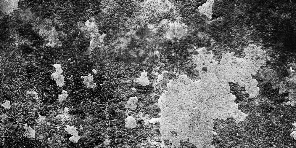 Aufkleber grunge black and white crack paper texture design and texture of a concrete wall with scratches back