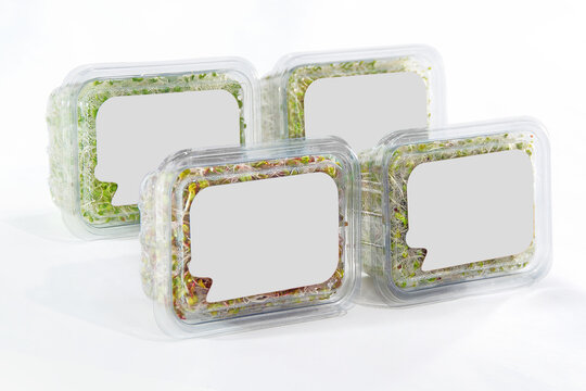 Charolas de pl&aacute;stico que contienen vegetales naturales, germinados de semillas. 