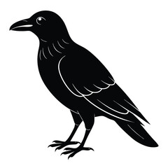Crow silhouette, black and white victor art illustration eps