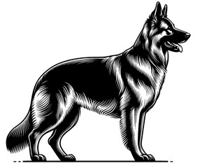 Hand drawn cute German Shepherd, vector sketch isolated on white background, SVG vector