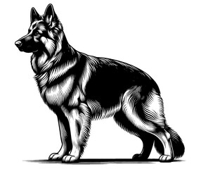 Hand drawn cute German Shepherd, vector sketch isolated on white background, SVG vector