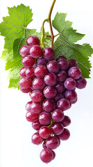 Fototapeta premium Fresh from the Vine Vibrant Red Grapes Perfect for Snacking