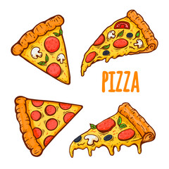  illustration of a pizza isolated on white background. pizza slice with salami,mushrooms, basil leaf and melted cheese for pizzeria package and menu designs. Flat 