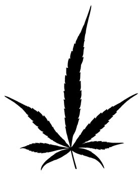 Silhouette de feuille de cannabis, fond blanc, 