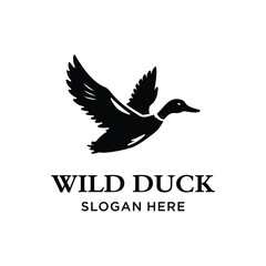 Fototapeta premium Flying Mallard Wild Duck Silhouette for Nature Bird Fowl Wildlife logo design