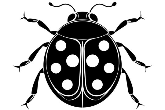 recommend clip art: Simple ladybug isolated black icon silhouette