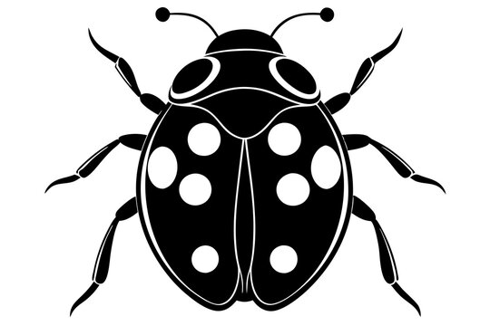 black ladybug with white spots on white background clip art preview